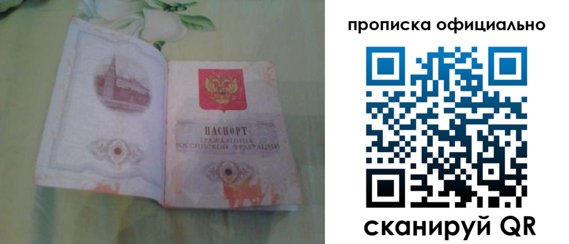 где прописаться в Сертолово